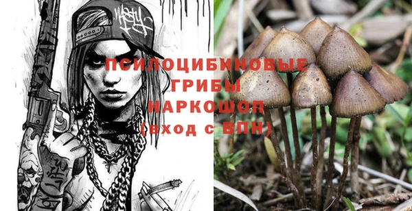 индика Нестеровская