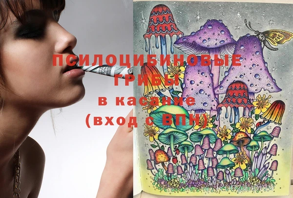 индика Нестеровская
