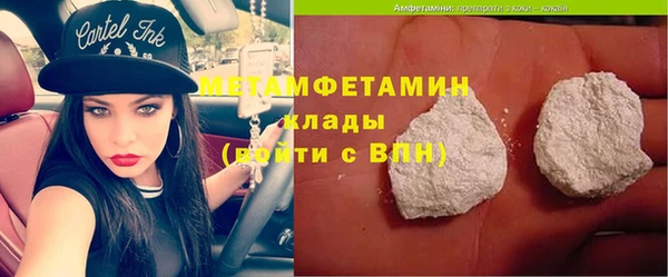 индика Нестеровская