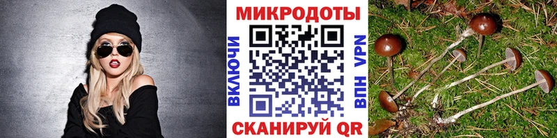 Галлюциногенные грибы GOLDEN TEACHER  Бобров 